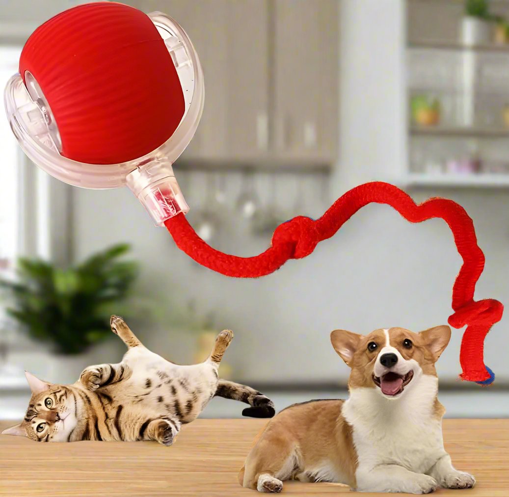 Pawsome Play Ball: Endless Fun for Cats🐱 & Dogs🐶!